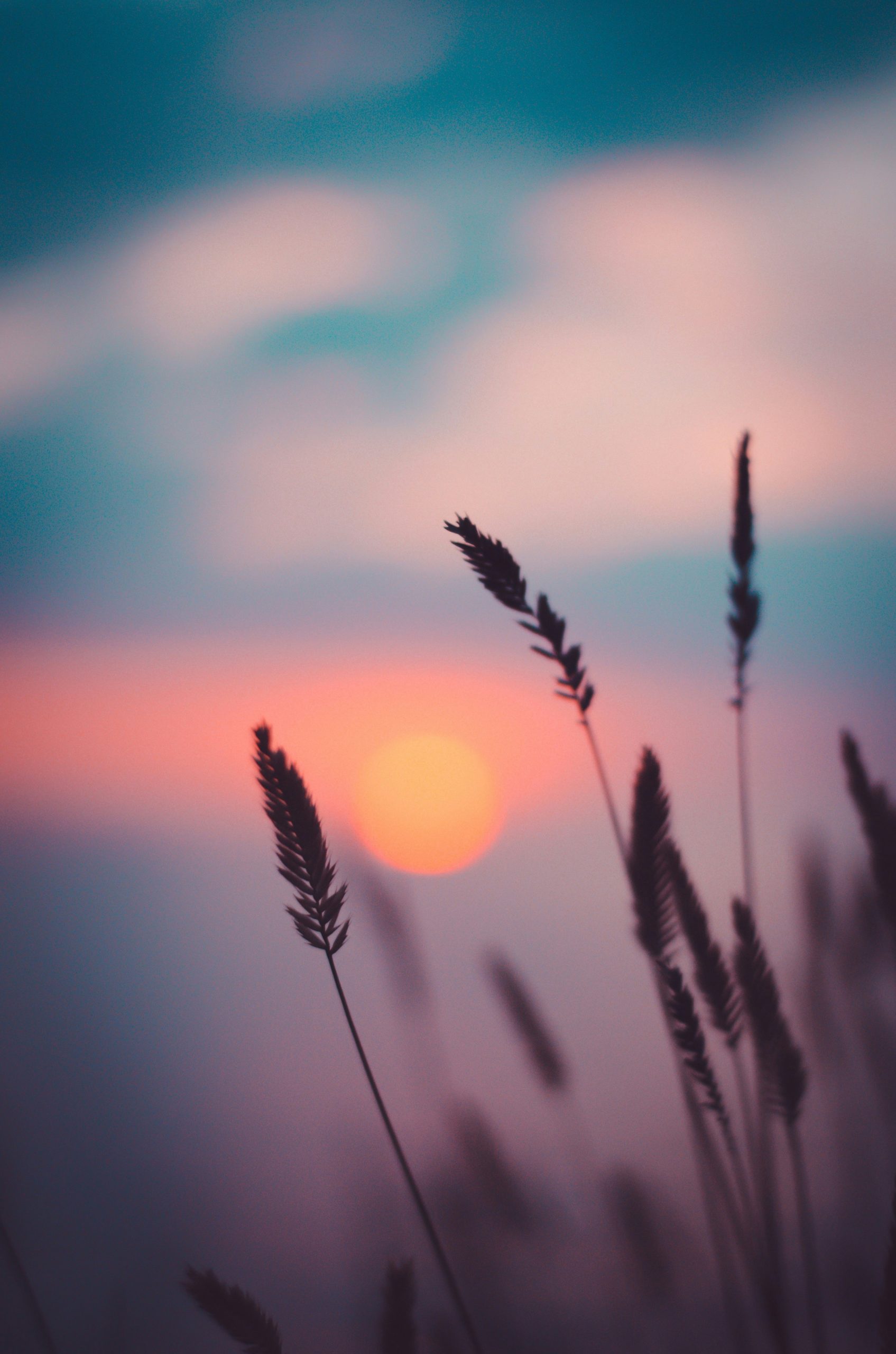 YEAR 1 — Finding, Noticing, and Building Who I Am